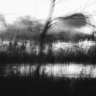 ICM B&W IMG_7150