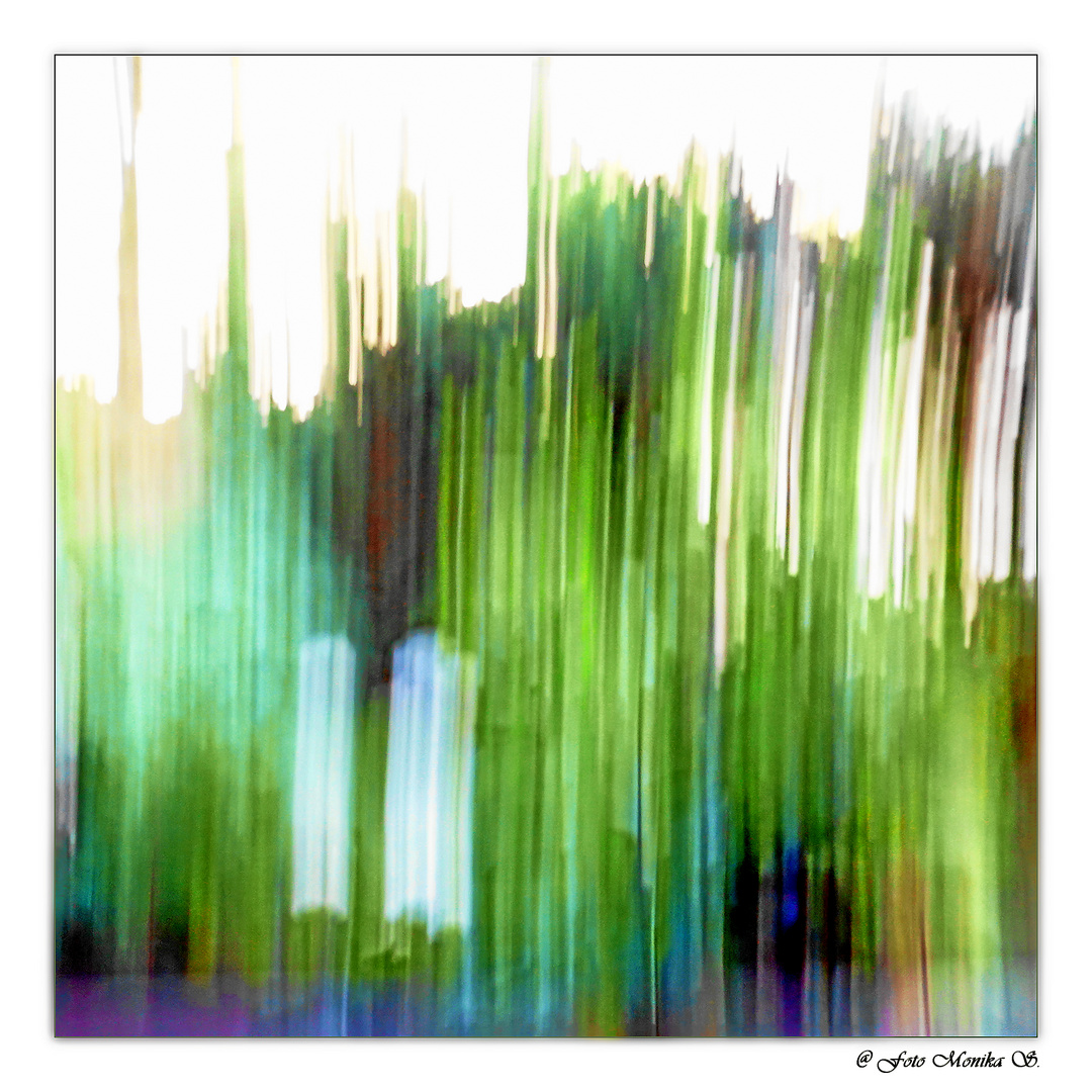 ICM = Intentional camera movement  =  ein Foto malen