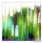 ICM = Intentional camera movement  =  ein Foto malen