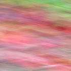 ICM texture