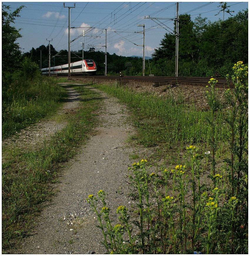 ICN bei Mägenwil