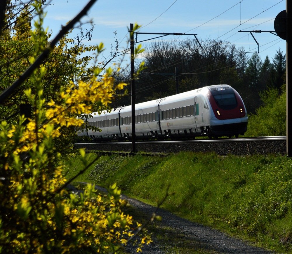 ICN in den Blüten