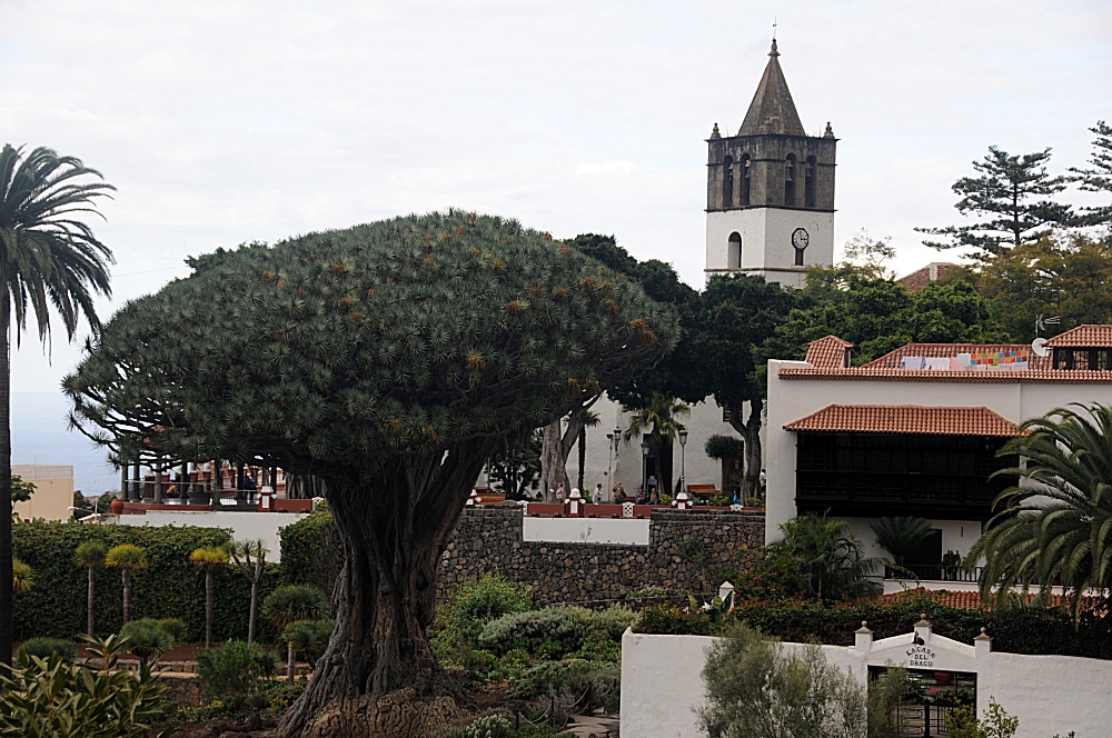 Icod de los Vinos, Kanaren inseln, Teneriffa