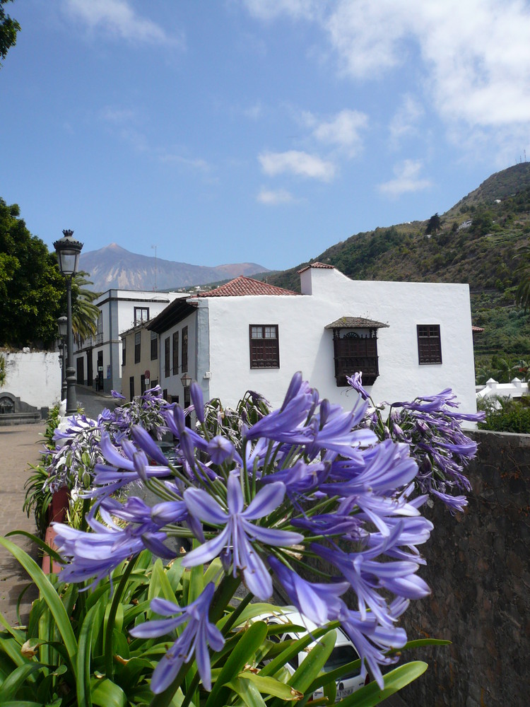 Icod de los Vinos mit Pico del Teide