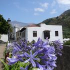 Icod de los Vinos mit Pico del Teide