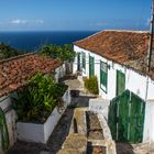 Icod de los Vinos- Teneriffa, Spanien