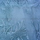 iconography of ice