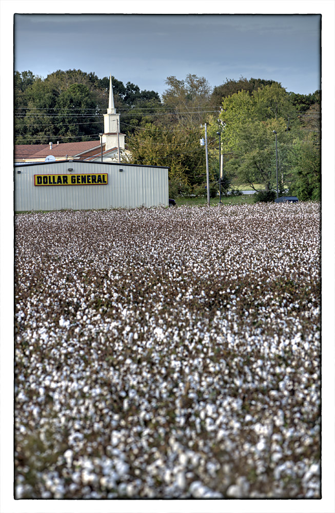 Icons of the South