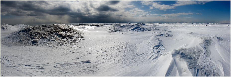 Icy Bay