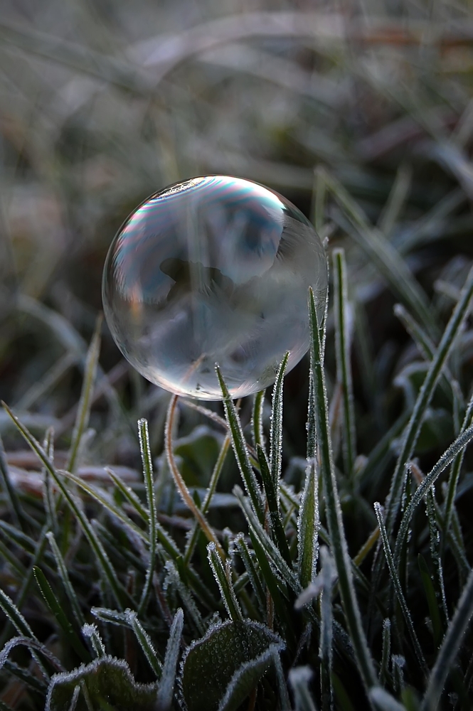 Icy Bubbles, Teil VII