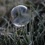 Icy Bubbles, Teil VII