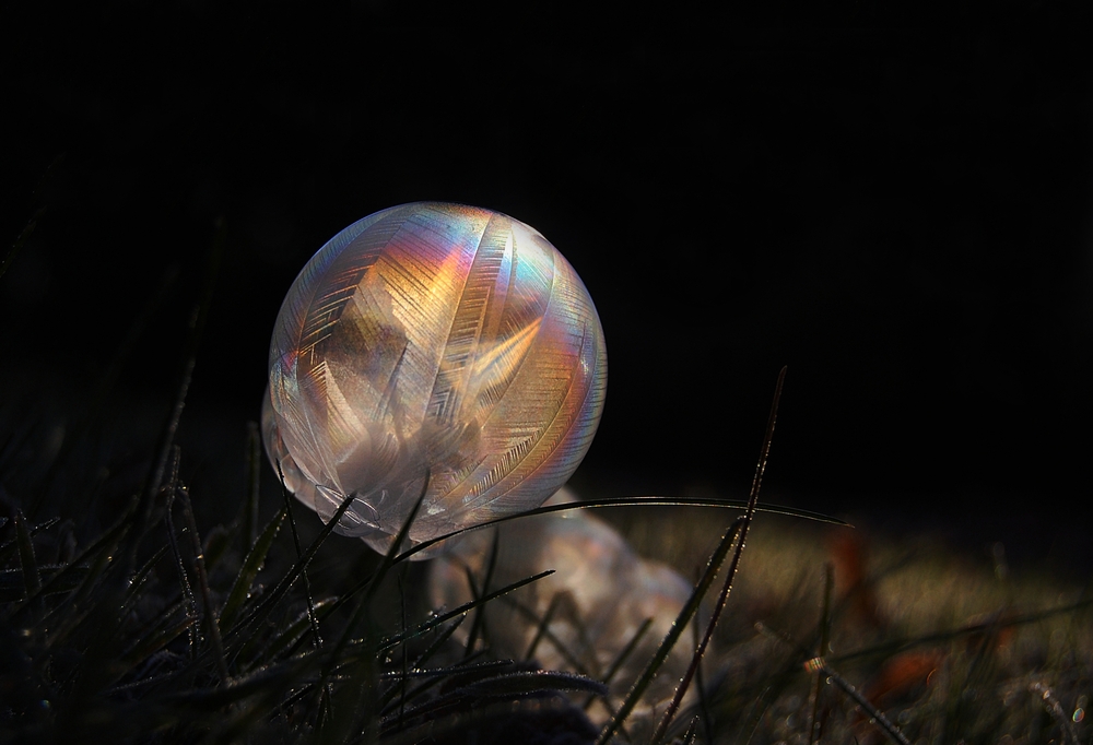 Icy Bubbles, Teil VIII