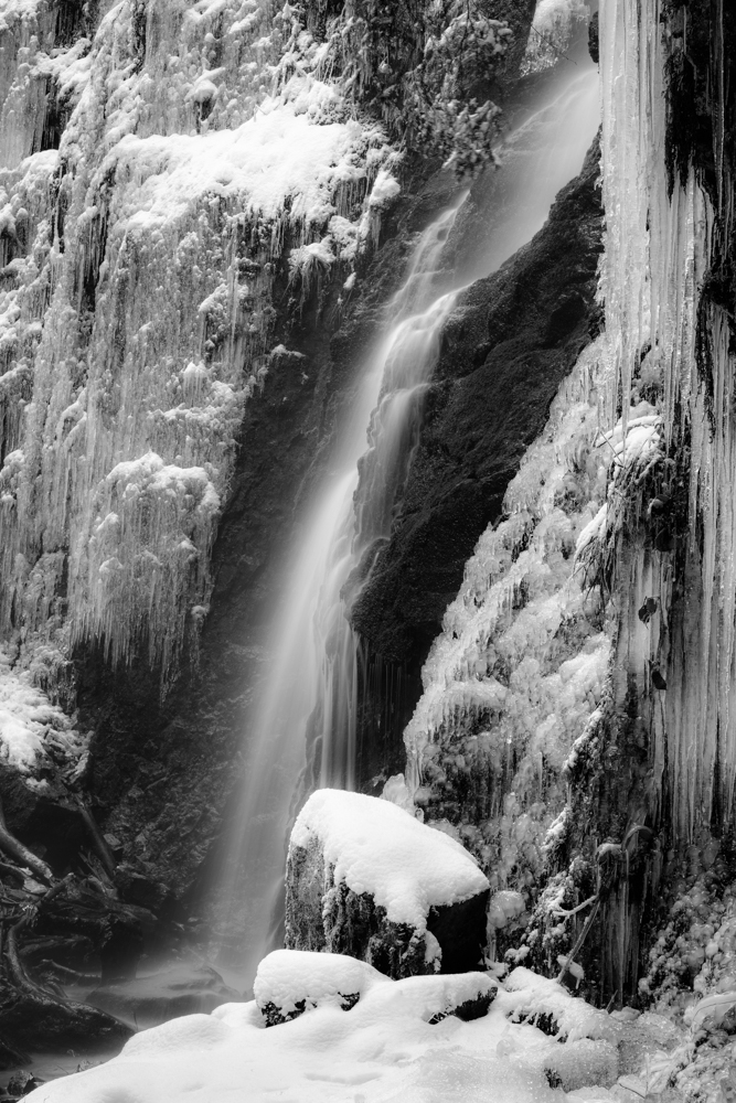 icy - bw