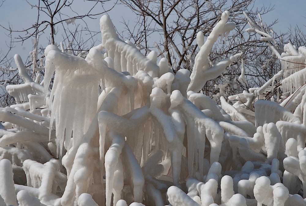 Icy Coral Reef (1)