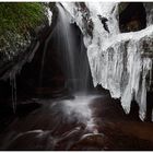 ~~ Icy Curtain ~~