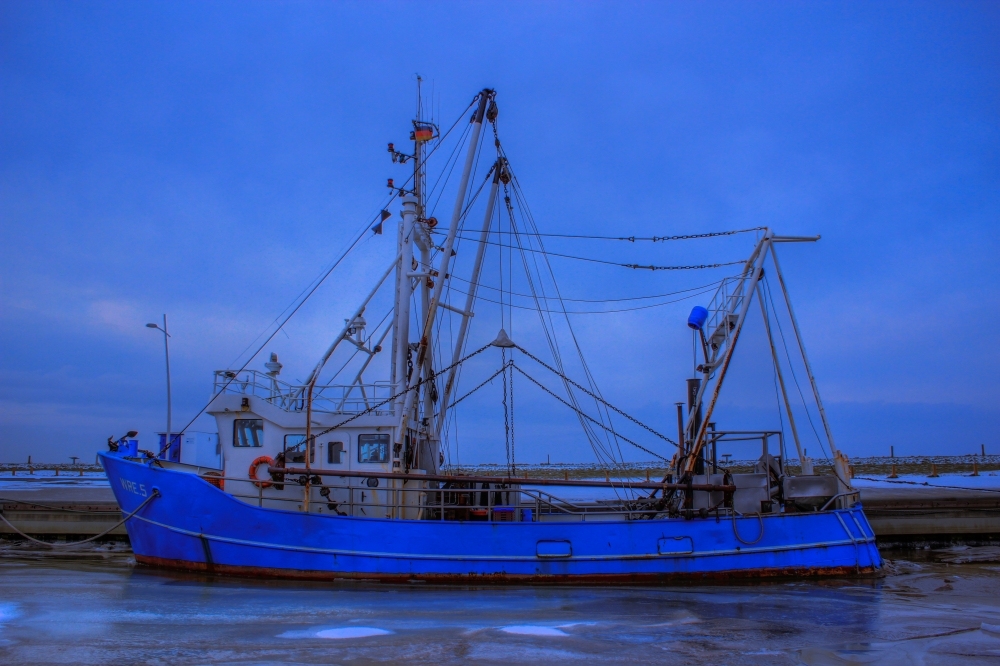 Icy Harbor