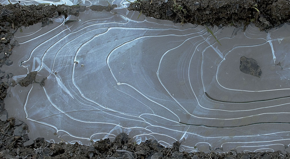 Icy lines in a puddle