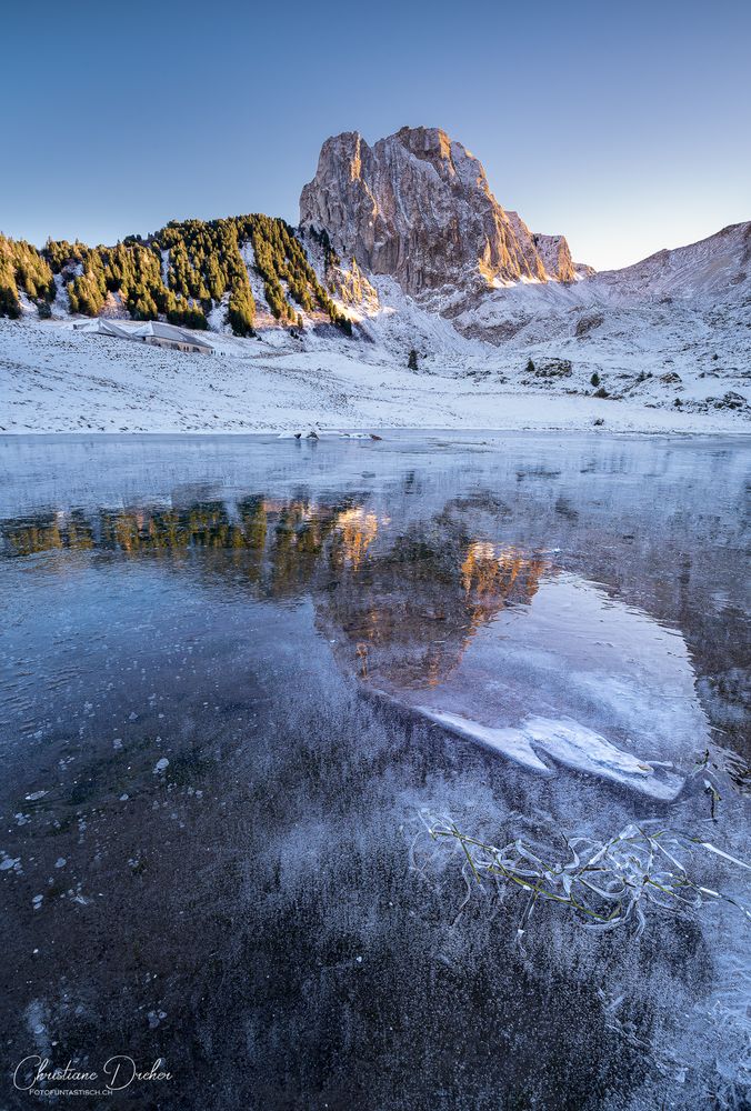 Icy Pool