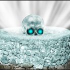 icy skull