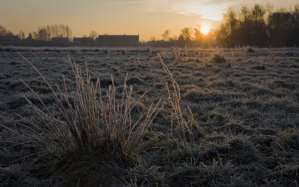 Icy Sunrise