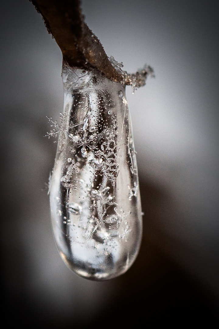 Icy tear