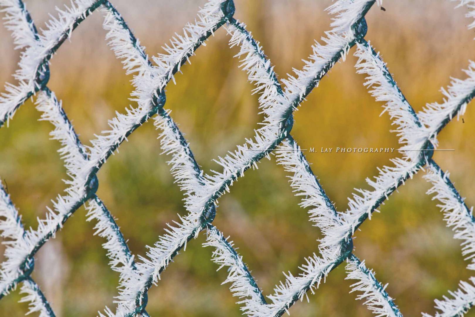 icy_fence