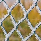 icy_fence