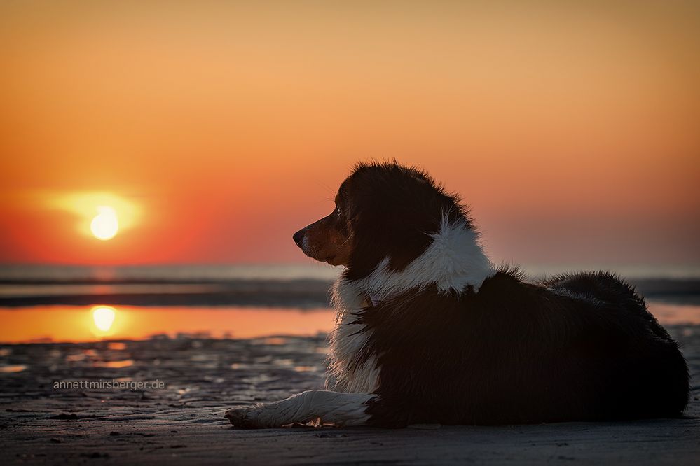 Ida im Abendlicht 