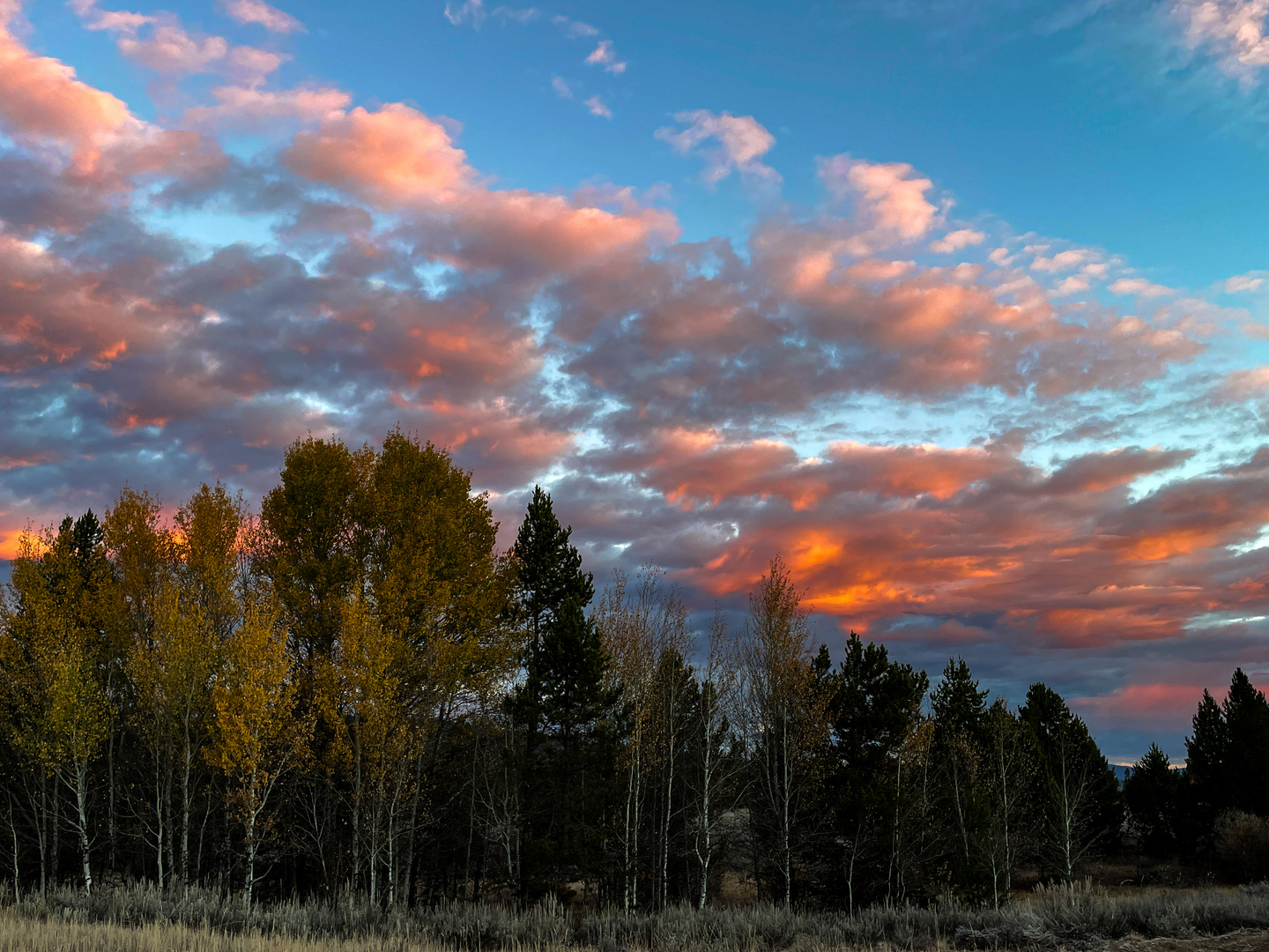 Idaho