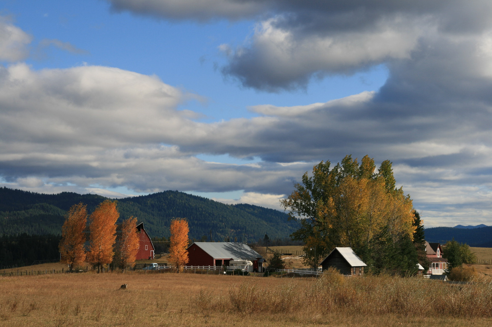 Idaho Farmhouse