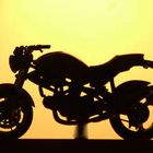 User Profile Photo