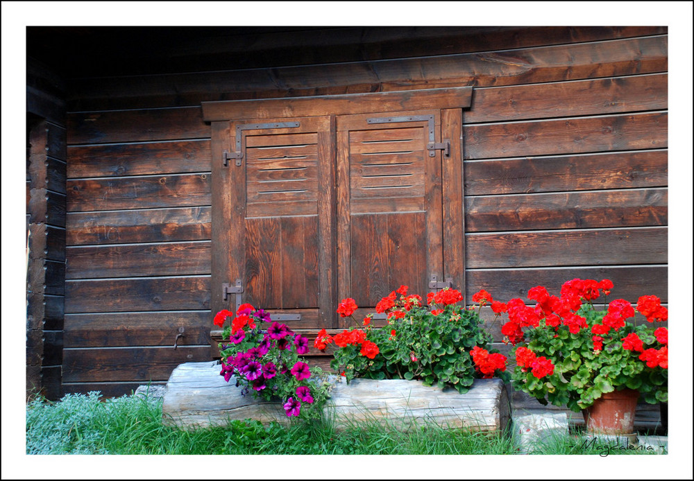 Idée de décoration florale *3