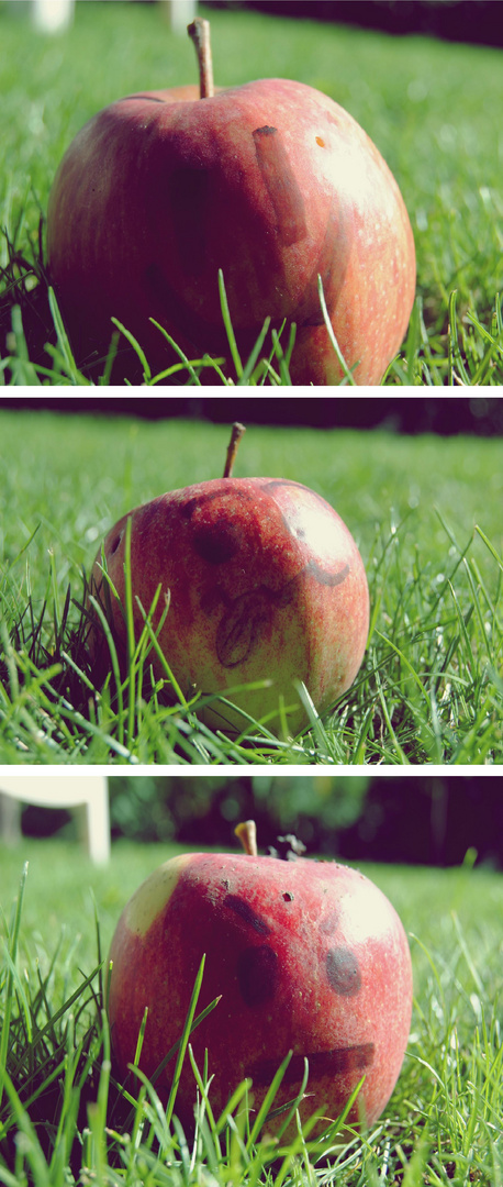 Idée de génie : mettre la pomme de Newton dans la brouette de Pascal.