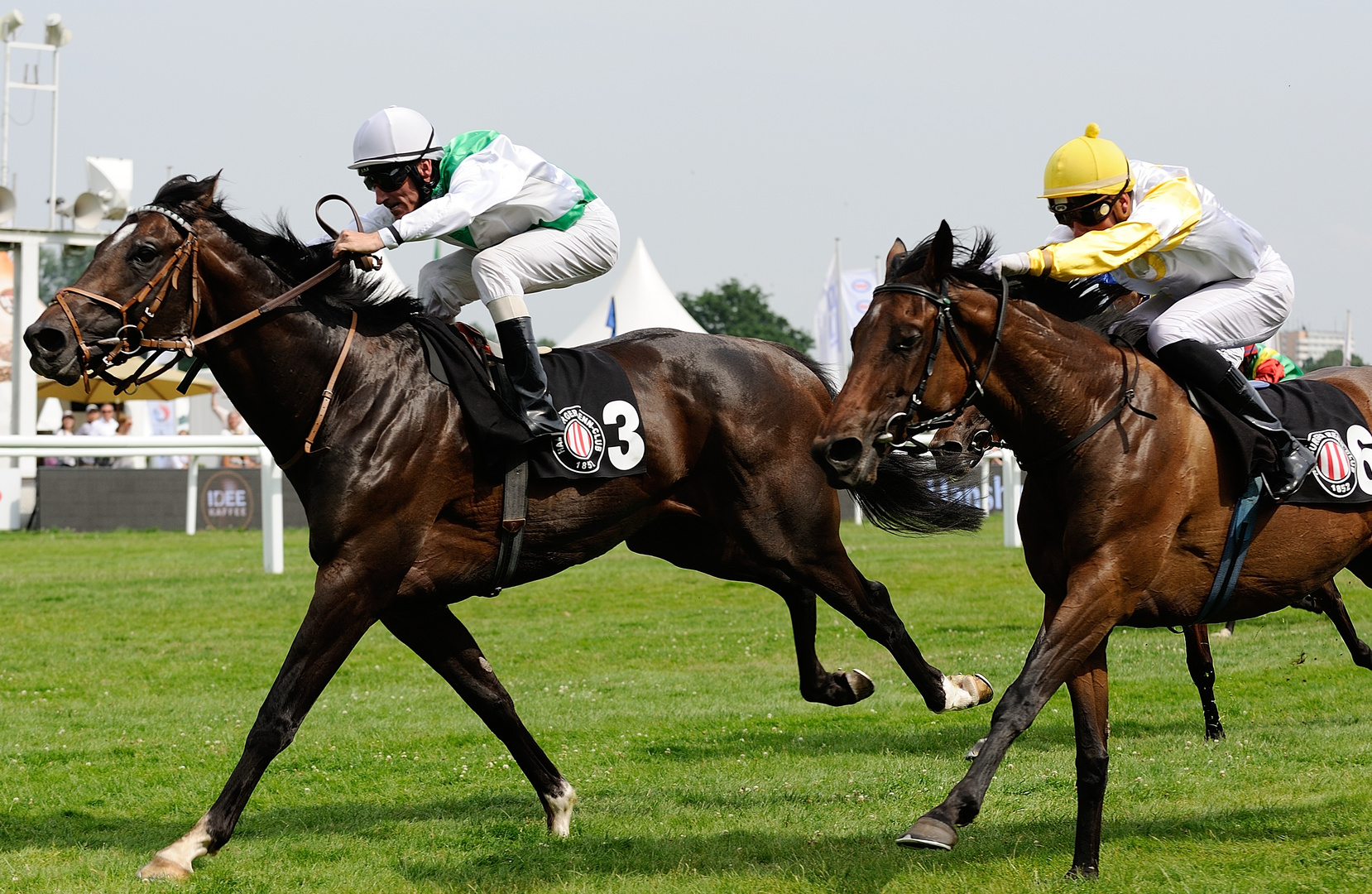 IDEE Derby-Meeting 2015 - Hanshin-Cup