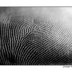 Identità sì...identità no...