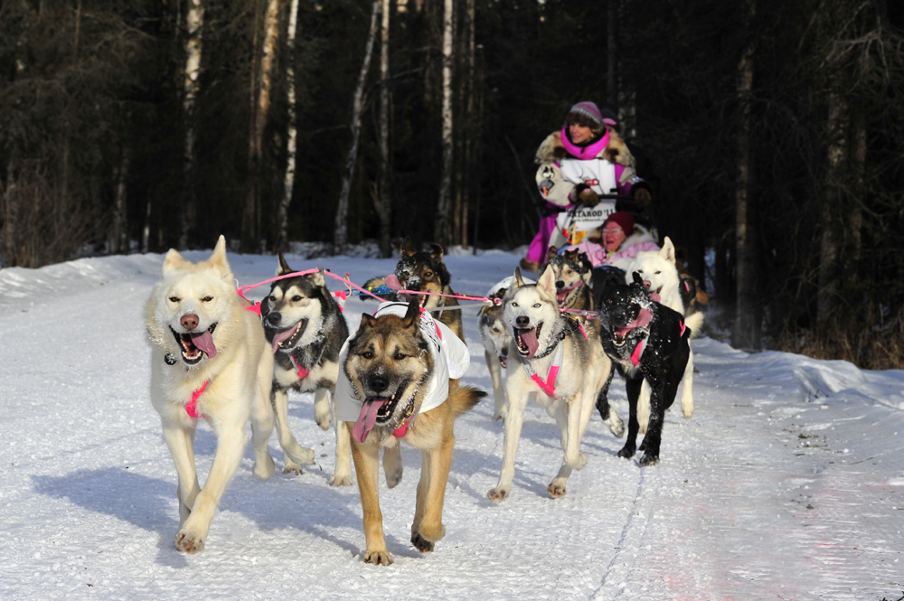 Idirarod Schlittenhunderennen über 1600 km Anchorage-Nome