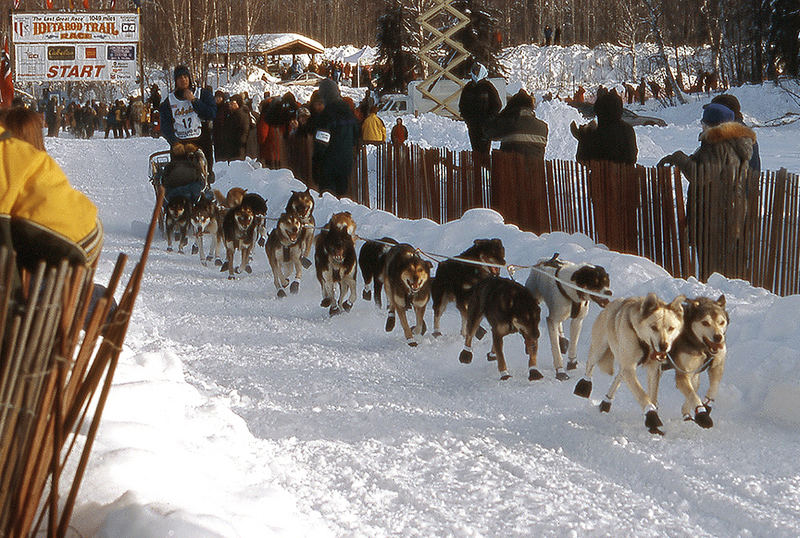 Iditarod