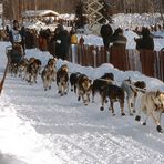 Iditarod