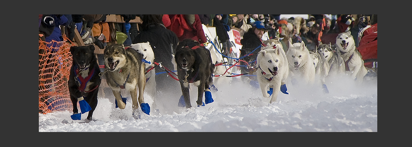 Iditarod 2012