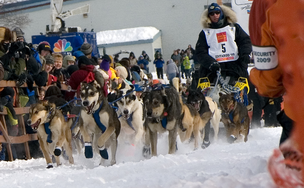 Iditarod