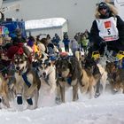 Iditarod