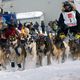 Iditarod