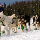 Iditarod