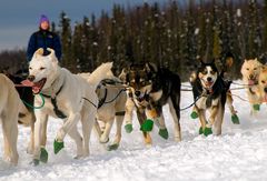 Iditarod