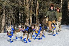Iditarod Hundeschlittenrennen über 1600 km