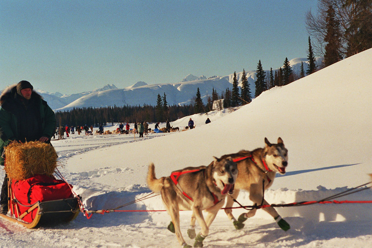 Iditarod-Race 2002