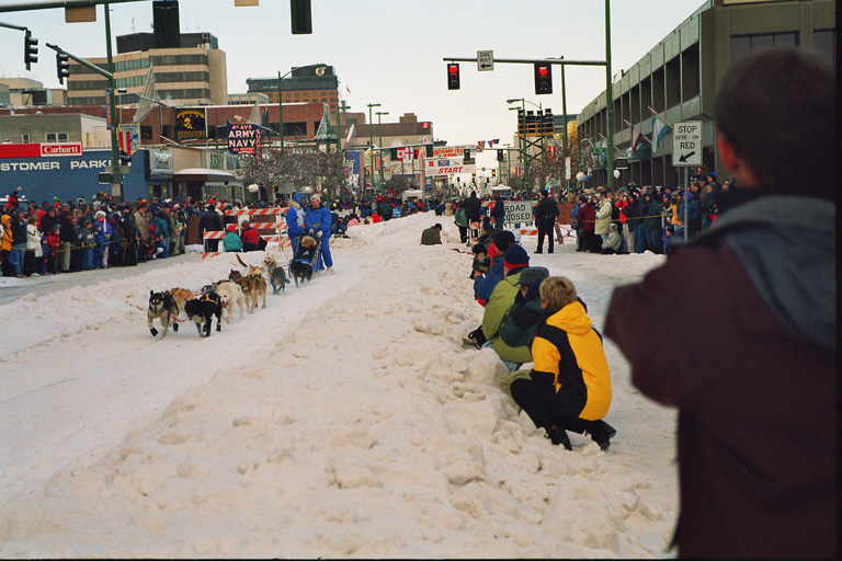 Iditarod-Race - es kann losgehen!