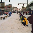 Iditarod-Race - es kann losgehen!