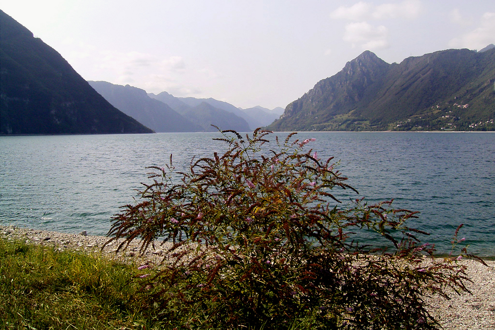 Idro See 2004