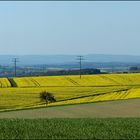 Idsteiner Land im April